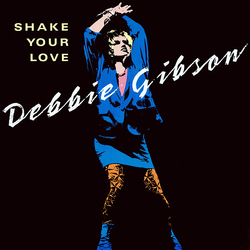 Debbie Gibson Shake Your Love VINYL 12" - 33 ⅓ RPM