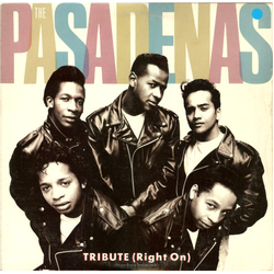 The Pasadenas Tribute (Right On) VINYL 12" - 33 ⅓ RPM