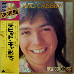 David Cassidy New Gold Disc VINYL LP - Compilation Stereo
