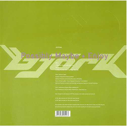 Björk Possibly Maybe • Enjoy VINYL 12" - 33 ⅓ RPM
