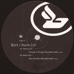 Björk Alarm Call VINYL 12" - 33 ⅓ RPM Single