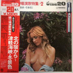 Teichiku Orchestra 北の宿から～津軽海峡・冬景色 VINYL LP