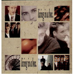 Living In A Box Living In A Box VINYL LP