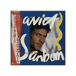 David Sanborn A Change Of Heart VINYL LP - Stereo Japan