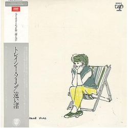 Tracey Thorn A Distant Shore VINYL LP - Reissue