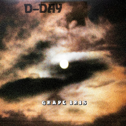 D-Day (5) Grape Iris VINYL LP - Picture Disc