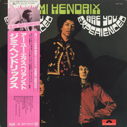 The Jimi Hendrix Experience Are You Experienced VINYL LP - Mono Reissue