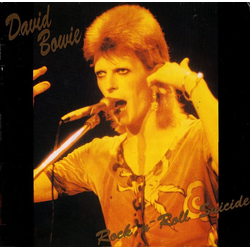 David Bowie Rock'n'Roll Suicide VINYL LP - Unofficial Release