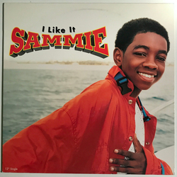 Sammie I Like It VINYL 12" - 33 ⅓ RPM Single