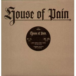 House Of Pain Over There (I Don't Care) VINYL 12" - 33 ⅓ RPM Promo