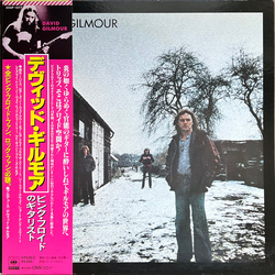 David Gilmour David Gilmour VINYL LP