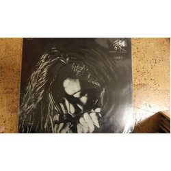 Shinji Tanimura 棘 Monday A.M. 8:00 VINYL LP - Stereo