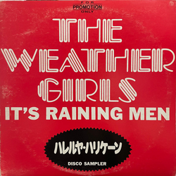 The Weather Girls It's Raining Men Disco Sampler VINYL 12" - Promo Sampler