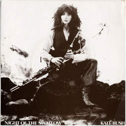Kate Bush Night Of The Swallow VINYL 7" - Single Stereo