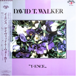 David T. Walker Y • Ence VINYL LP