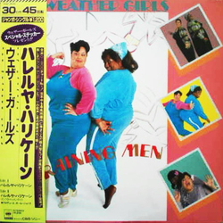 The Weather Girls It's Raining Men VINYL 12INCH