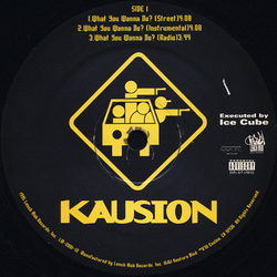 Kausion What You Wanna Do? VINYL 12" - 33 ⅓ RPM