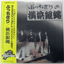 The Crazy Rider 横浜銀蝿 Rolling Special ぶっちぎり VINYL LP
