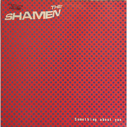 The Shamen Something About You VINYL 12" - 45 RPM