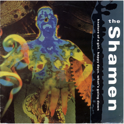 The Shamen Knature Of A Girl VINYL 12" - 45 RPM