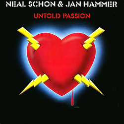 Schon & Hammer Untold Passion VINYL LP