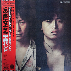 Kai Band この夜にさよなら VINYL LP