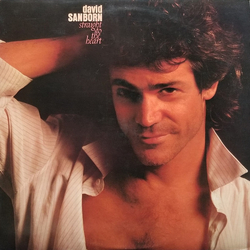 David Sanborn Straight To The Heart VINYL LP