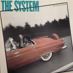 The System Don't Disturb This Groove VINYL LP