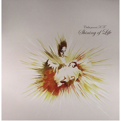 Calm Kiyotaka Fukagawa Shining Of Life VINYL 12" - 33 ⅓ RPM