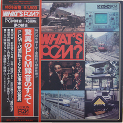 Unknown Artist What's PCM? (驚異のPCM録音のすべて) VINYL 12" - 45 RPM Stereo Japan