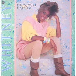 Whitney Houston How Will I Know VINYL 12" - 45 RPM Single