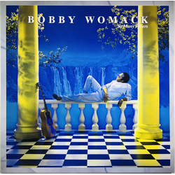 Bobby Womack So Many Rivers VINYL LP
