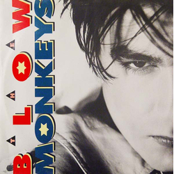 The Blow Monkeys It Doesn't Have To Be This Way (Long) VINYL 12" - 45 RPM Single Stereo