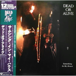 Dead Or Alive Something In My House VINYL 12" - 45 RPM