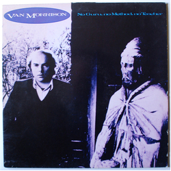 Van Morrison No Guru, No Method, No Teacher VINYL LP - Reissue