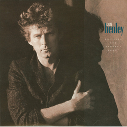Don Henley Building The Perfect Beast VINYL LP - Stereo