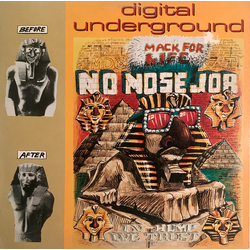 Digital Underground No Nose Job VINYL 12INCH