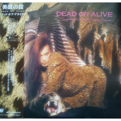 Dead Or Alive Sophisticated Boom Boom VINYL LP