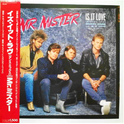 Mr. Mister Is It Love (Dance Mix) VINYL 12INCH
