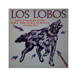 Los Lobos Don't Worry Baby VINYL 12INCH