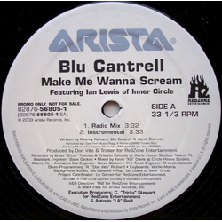 Blu Cantrell Ian Lewis Make Me Wanna Scream VINYL 12" - 33 ⅓ RPM Promo