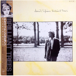 David Sylvian David Sylvian Brilliant Trees VINYL LP