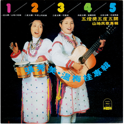 張秀美 温梅桂 五燈獎五度五關 山地民歌專輯 VINYL LP - Stereo