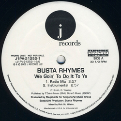 Busta Rhymes We Goin' To Do It To Ya VINYL 12" - Promo