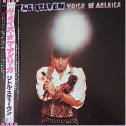 Little Steven Voice Of America VINYL LP