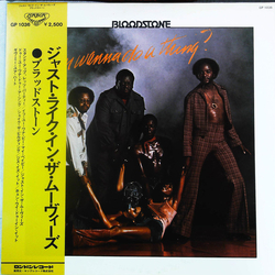 Bloodstone Do You Wanna Do A Thing? VINYL LP