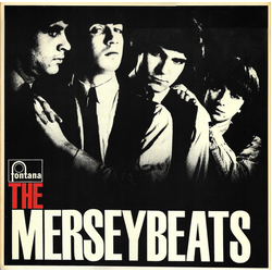 The Merseybeats The Merseybeats VINYL LP - Mono Reissue