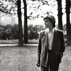 David Sylvian Brilliant Trees 180gm vinyl LP