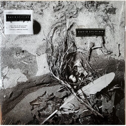 David Sylvian Secrets of the Beehive 180gm vinyl LP