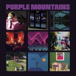 Purple Mountains Purple Mountains vinyl LP